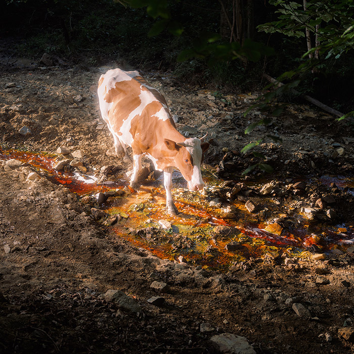 Image by Tomasz Kawecki