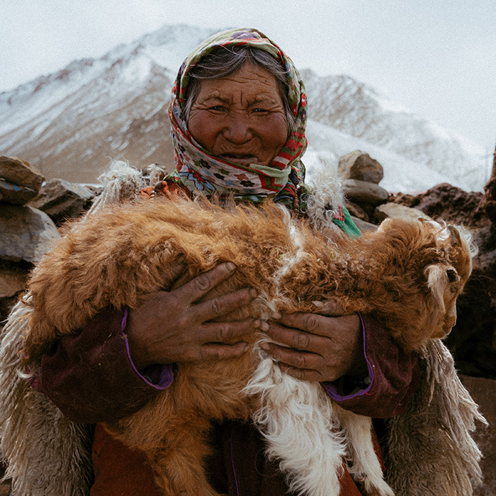 Image by Wasim Malik