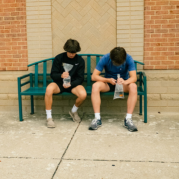 Image by Alec Castillo