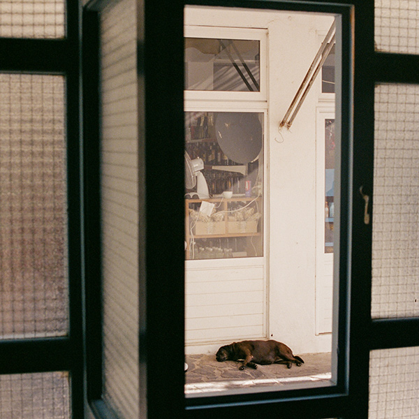 Image by Brooks Plummer