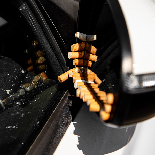 Image by Jessica Bellef