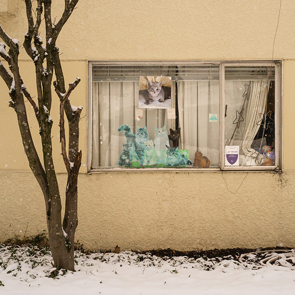 Image by Julian Hecht