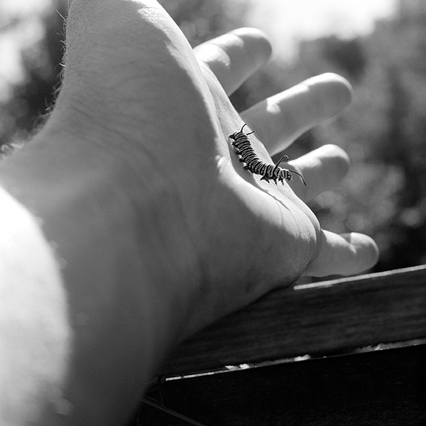 Image by Benjamin Young