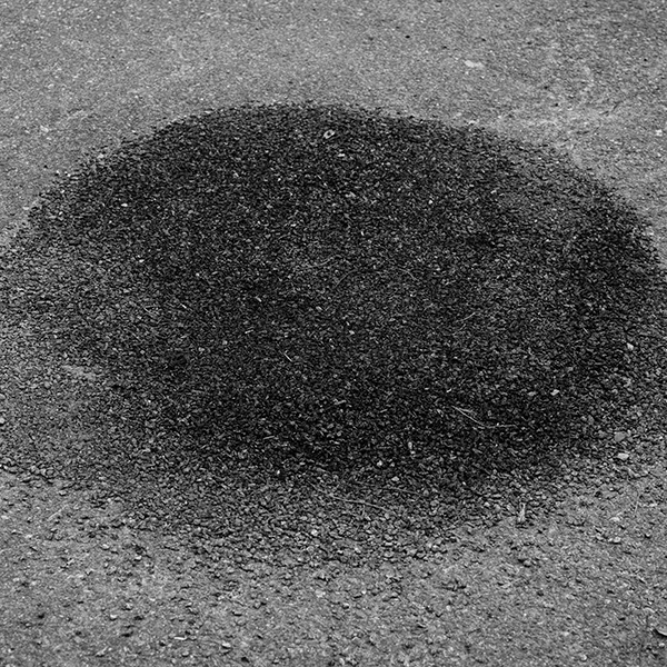 Image by Gabriel Civita Ramirez