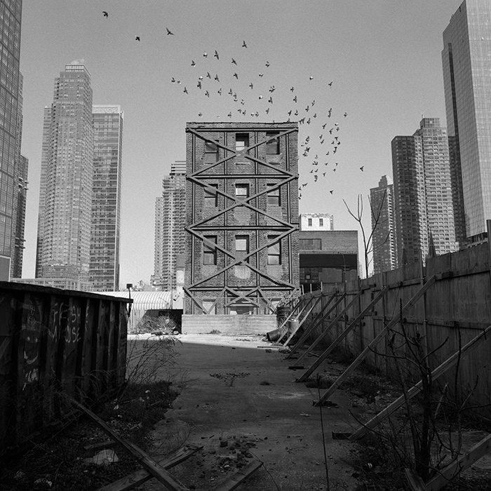 Image by Sebastian Ferruzo