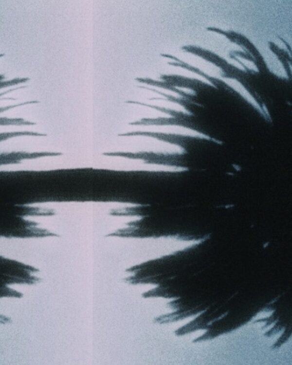  - Image 6 of 7