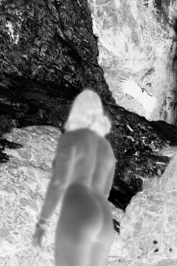  - Image 2 of 7