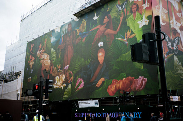  - Image 4 of 8