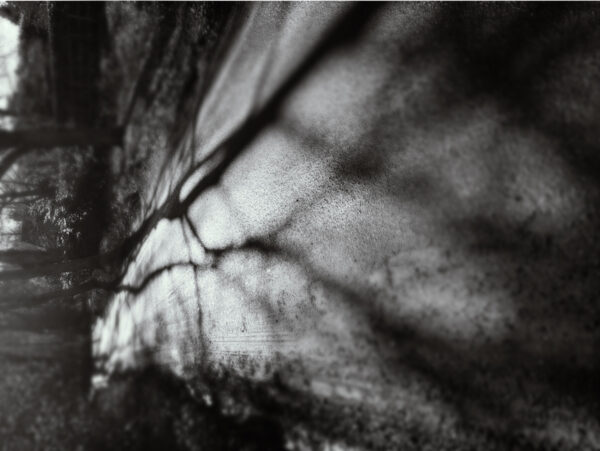  - Image 5 of 8