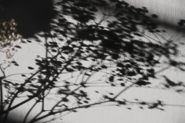  - Image 6 of 8