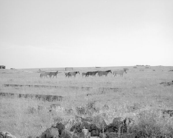  - Image 1 of 8