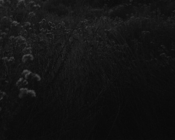  - Image 8 of 8