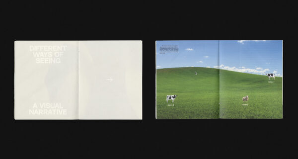  - Image 3 of 8