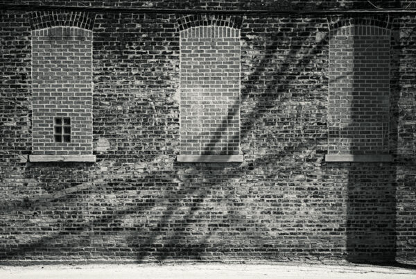  - Image 8 of 8
