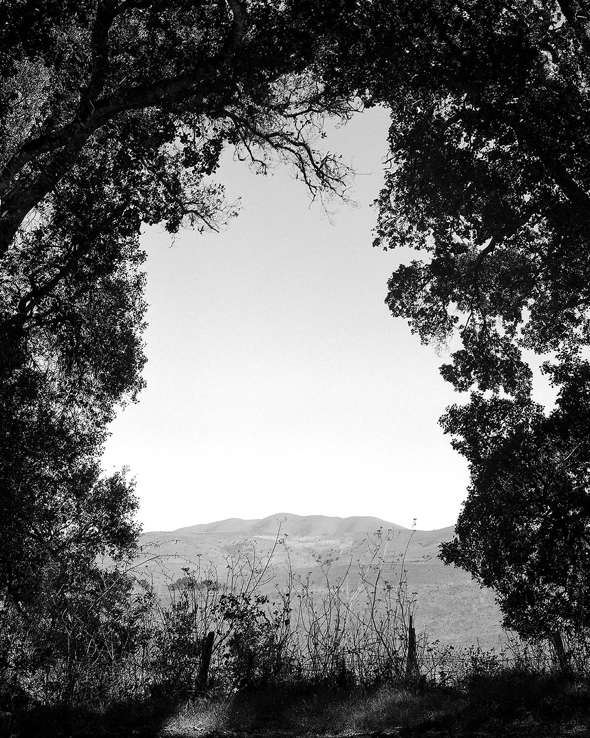 "Eternal Return" by Photographer Benny Young