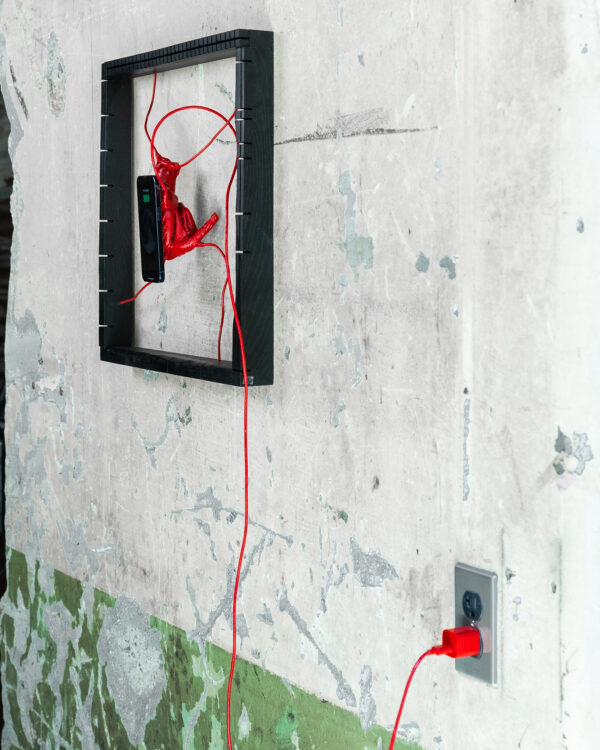  - Image 4 of 7