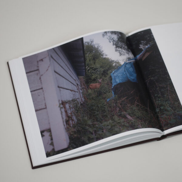 - Image 3 of 8