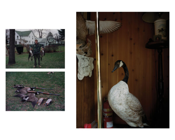  - Image 7 of 8