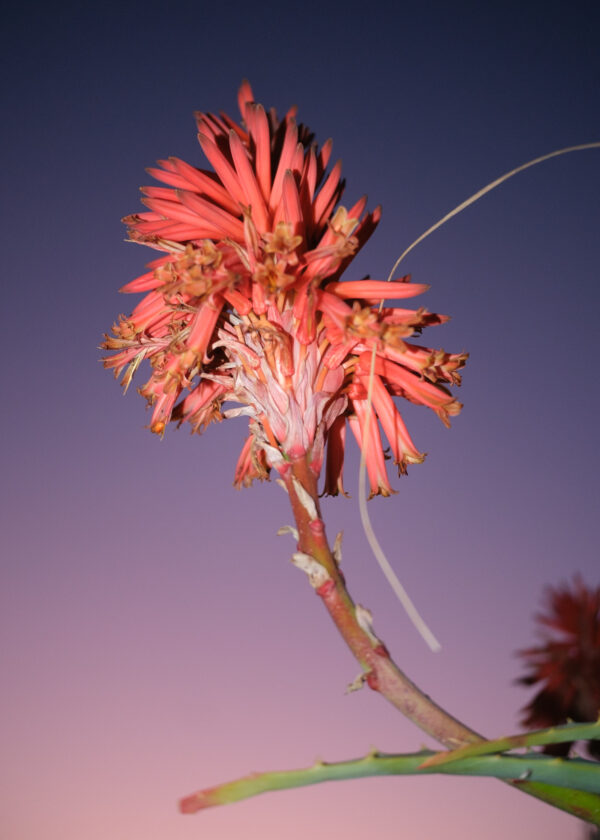  - Image 1 of 8