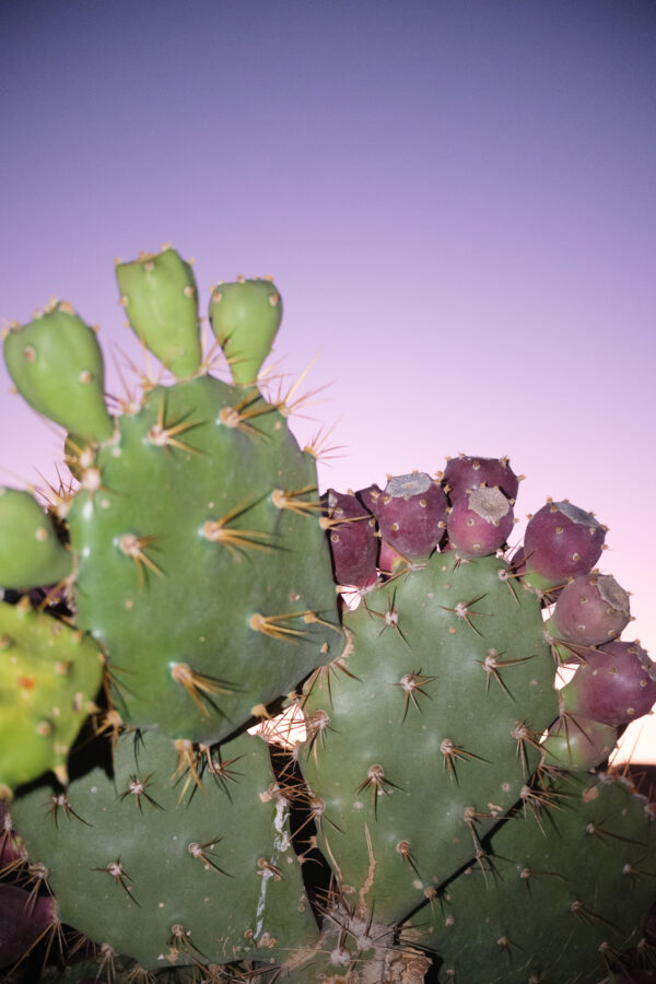  - Image 5 of 8