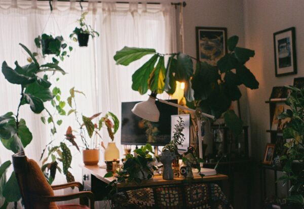  - Image 3 of 8