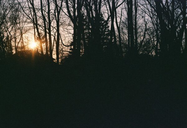  - Image 7 of 8