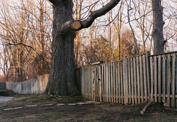  - Image 6 of 8