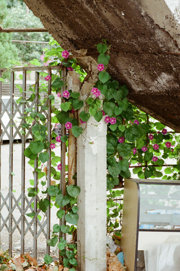  - Image 7 of 8