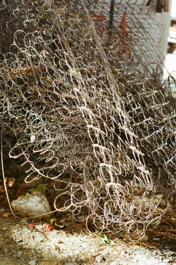 - Image 4 of 8