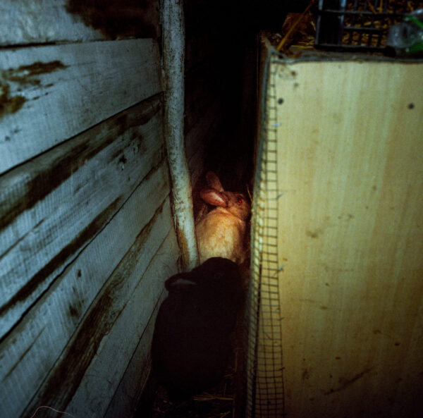  - Image 1 of 8