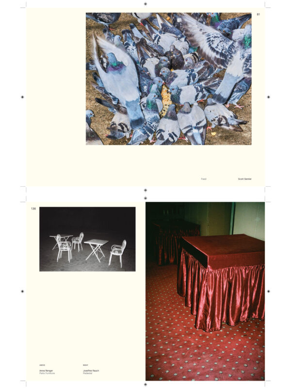  - Image 7 of 8