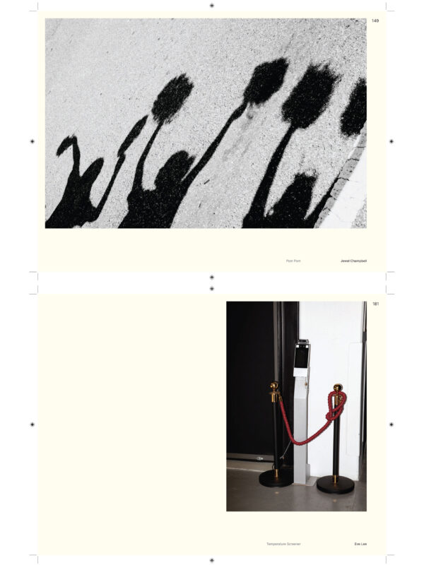  - Image 8 of 8