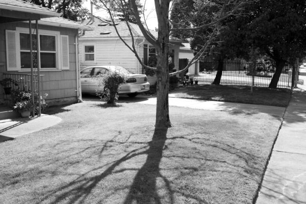  - Image 1 of 8