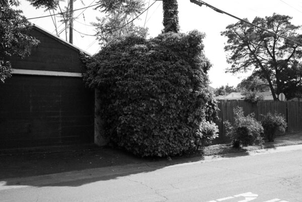  - Image 7 of 8