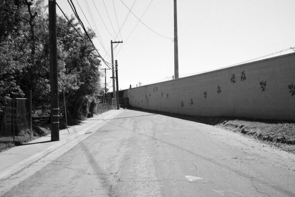  - Image 8 of 8