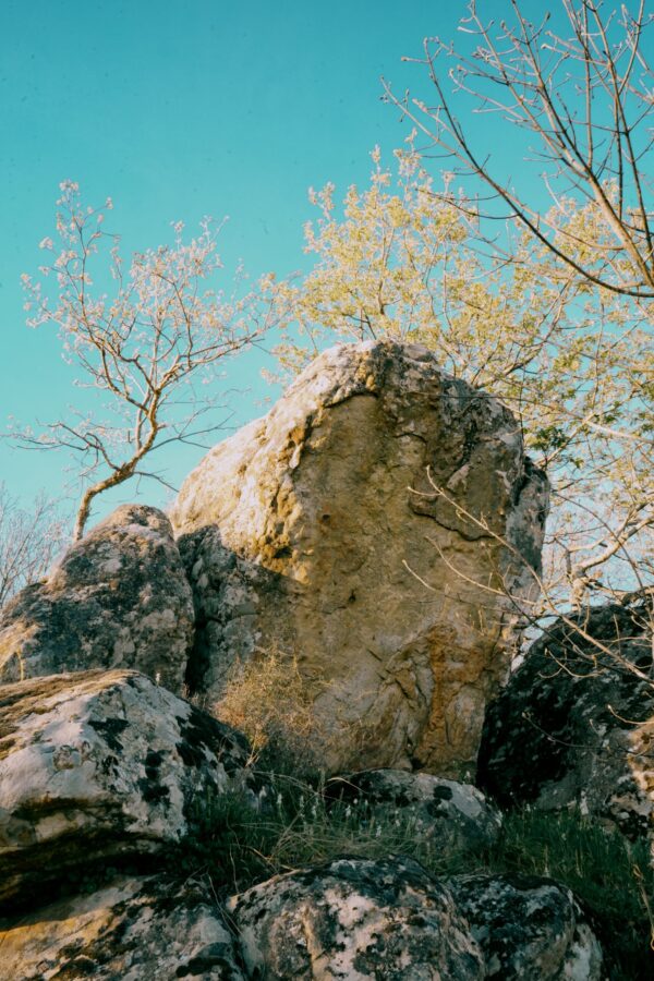  - Image 5 of 8