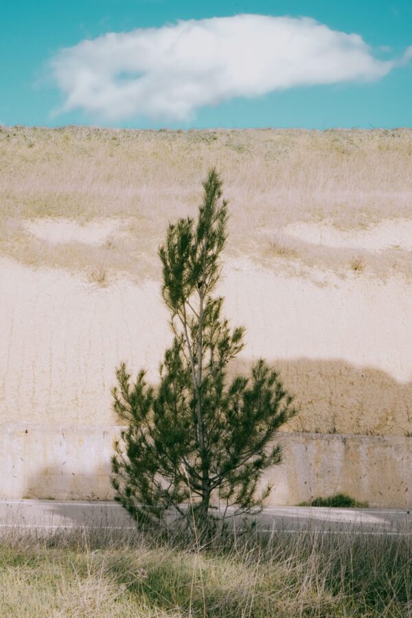  - Image 8 of 8