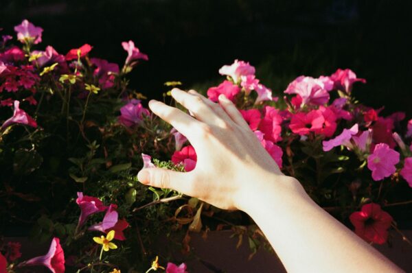  - Image 7 of 8