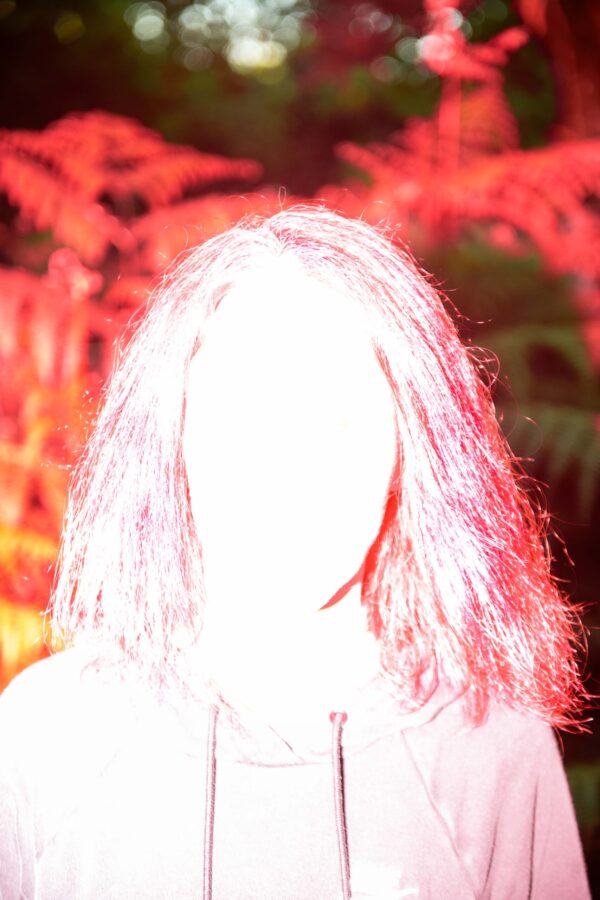  - Image 4 of 8