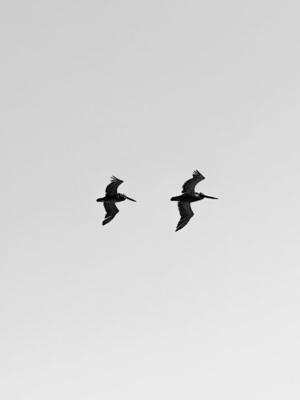  - Image 1 of 3