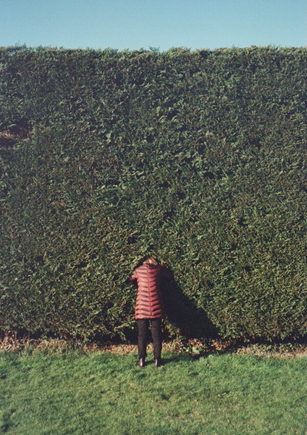  - Image 4 of 8