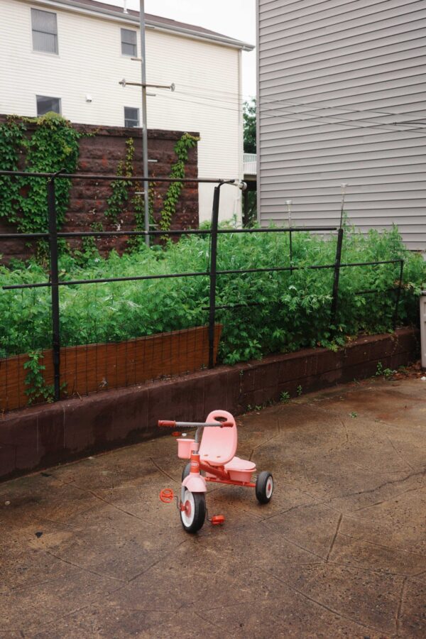  - Image 6 of 8