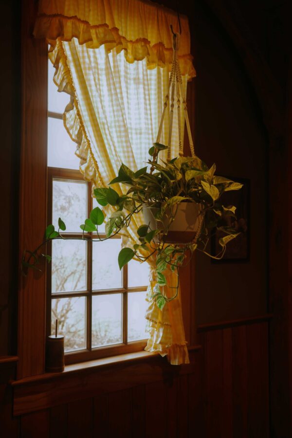  - Image 7 of 8
