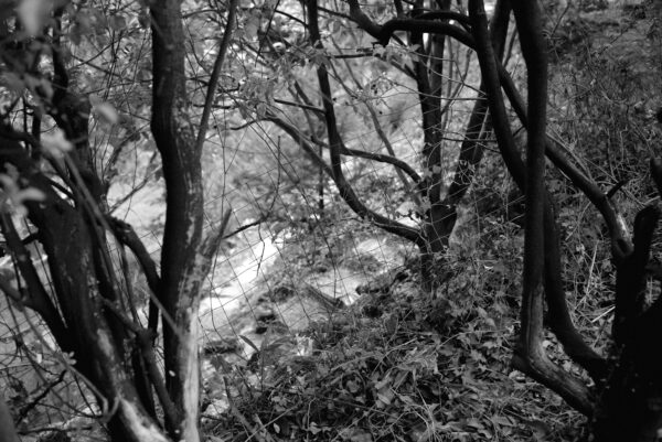  - Image 6 of 7