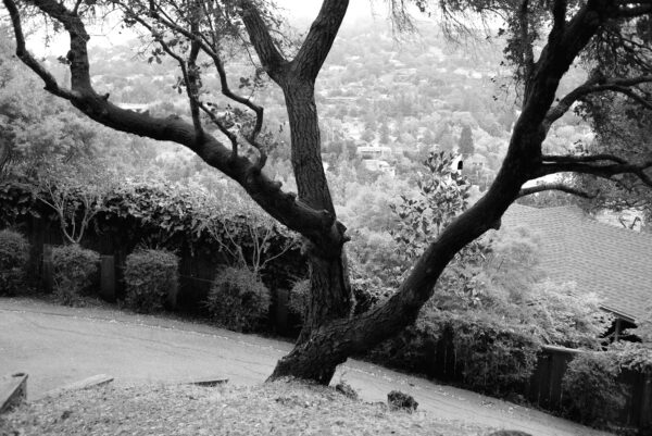  - Image 5 of 7