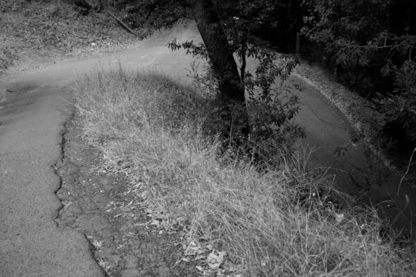  - Image 2 of 7