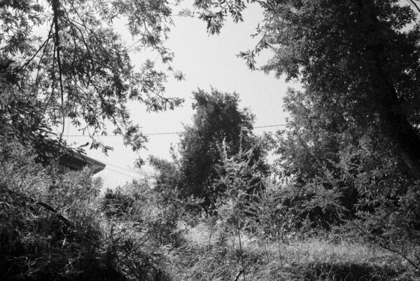  - Image 4 of 7