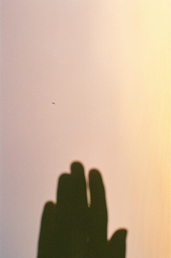  - Image 8 of 8