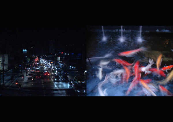  - Image 7 of 8