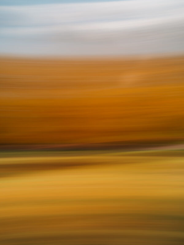  - Image 6 of 8